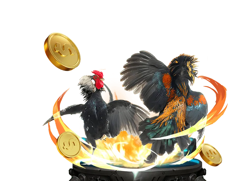 Quy trình đăng ký và đăng nhập 555win